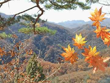 澳彩資料圖庫區(qū)	正廳級李成武任上主動投案