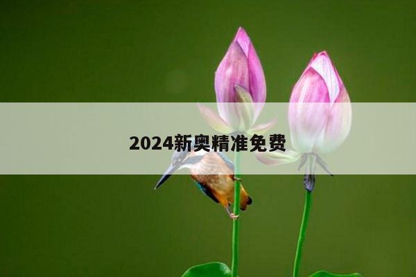 2024新奧精準免費