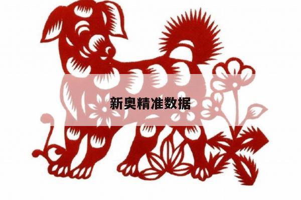 新奧精準數(shù)據(jù)/新奧大數(shù)據(jù)