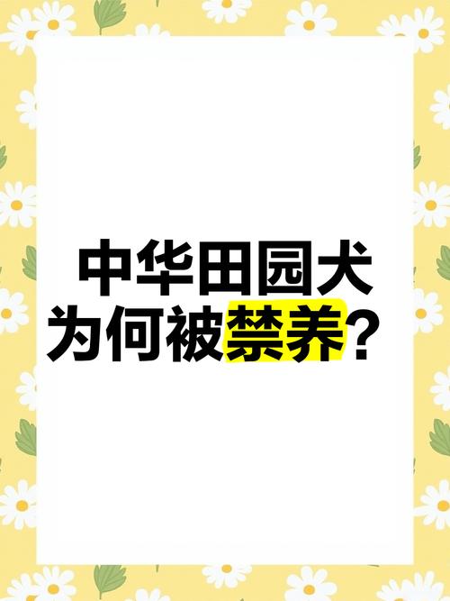 新澳2025資料最新大全和解除禁養(yǎng)中華田園犬與解除禁養(yǎng)中華田園犬的原因