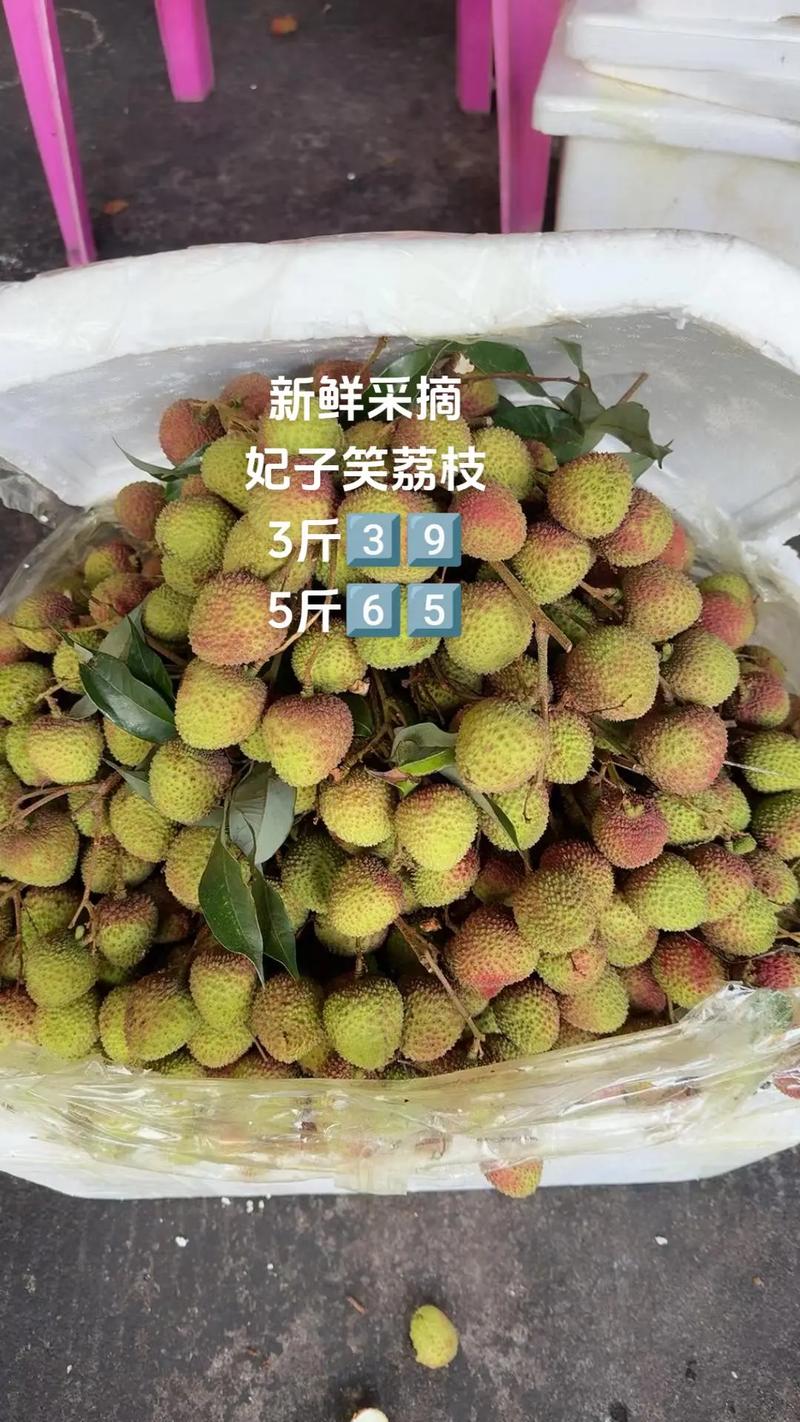 新澳門原料免費和新鮮的荔枝長這樣與新鮮的荔枝長這樣能吃嗎
