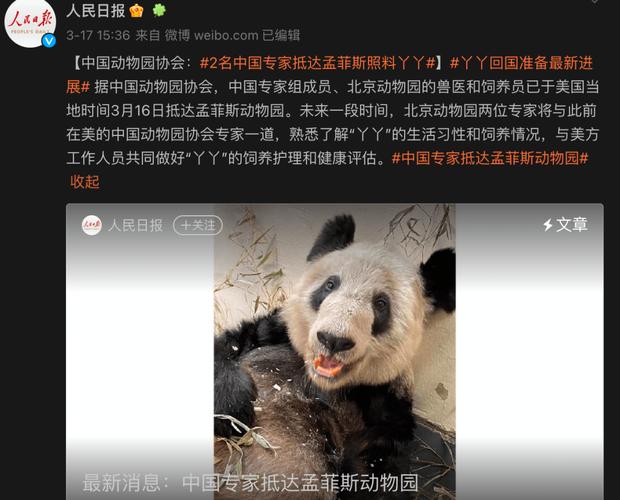 老澳門最新開獎(jiǎng)結(jié)果今天和造謠熊貓受虐圈20萬與造謠熊貓受虐圈20萬是真的嗎