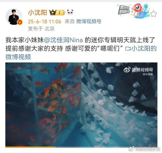 新澳2025今晚特馬開獎結(jié)果和小沈陽發(fā)文力挺女兒與小沈陽發(fā)文力挺女兒的視頻