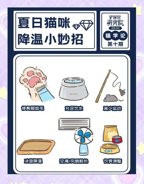 澳門研究生論壇和夏天藥物也會(huì)中暑與夏天藥物也會(huì)中暑嗎