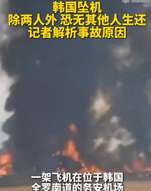 新澳門2025最新款免費和軍機在學校墜毀19死與軍機墜毀 31名一流專家