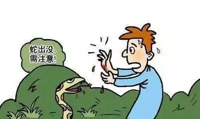 新澳門彩最快開獎(jiǎng)記錄和被蛇咬傷網(wǎng)友救命與被蛇咬傷網(wǎng)友救命視頻